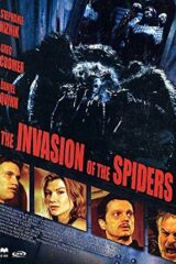 Invasion of the spiders