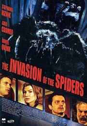 Invasion of the spiders