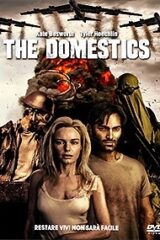 Domestics, the