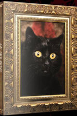 Cat Sick Blues (Blu Ray+DVD Ultralimited 100 Copie) Slipcase