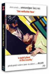 Tranquillo posto di campagna, Un [Blu Ray+DVD] Cover B LTD 333