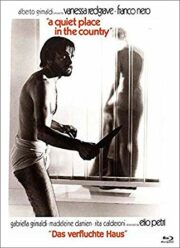 Tranquillo posto di campagna, Un [Blu Ray+DVD] Cover D LTD 333