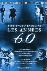 Pier Paolo Pasolini - Les Années 60 (3 DVD)