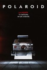 Polaroid