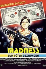 Vacanze per un massacro – Madness [Blu Ray+DVD] Cover C (limited 444)