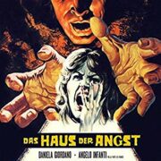 Casa della paura, La [Blu Ray+DVD] Cover A (limited 333)