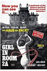 Casa della paura, La [Blu Ray+DVD] Cover D (limited 222)