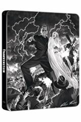 Frankenstein (1931) Steelbook Edizione Limitata Alex Ross Art (Blu-Ray)