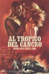 Al tropico del cancro (Camera Obscura)