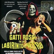 Gatti rossi in un labirinto di vetro (Next Video)