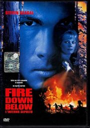 Fire Down Below (snapper edition)