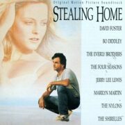 Stealing Home - Il sentiero dei ricordi (LP)