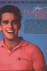 Flamingo Kid, The - Original Motion Picture Soundtrack (LP)