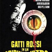 Gatti rossi in un labirinto di vetro (Restaurato HD)