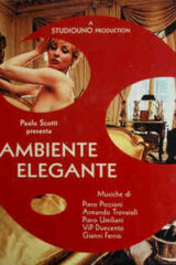 Ambiente Elegante (2 LP gatefold)