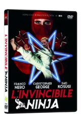 Invincibile ninja, L'
