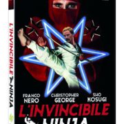 Invincibile ninja, L'