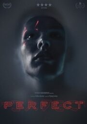 Perfect