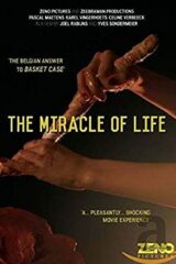 Miracle of Life