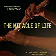 Miracle of Life