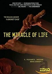 Miracle of Life