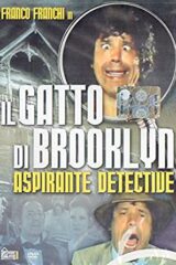 Il gatto di Brooklyn aspirante detective