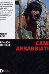 Cani arrabbiati - Semaforo rosso (DCult)