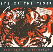 Eye of the Tiger – Tema dal film “Rocky 3” (45 giri)