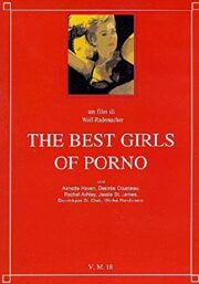 Best girls of porno (HARD)