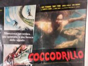 Coccodrillo (fotobusta 50×70)