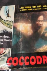 Coccodrillo (fotobusta 50x70)