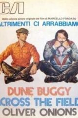 Dune Buggy / Across the Fields - Dalla colonna sonora di "Altrimenti ci arrabbiamo" (45 giri)
