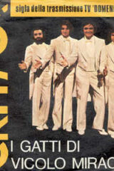 Gatti di Vicolo Miracoli - Capito? (45 giri)
