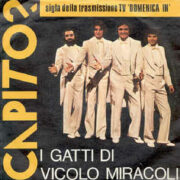 Gatti di Vicolo Miracoli - Capito? (45 giri)