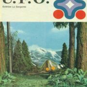 U.F.O. (romanzo)