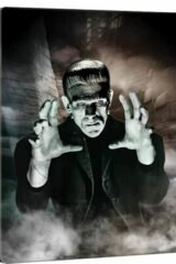 Frankenstein (1931) 90th Anniversary Steelbook (Blu-ray + Blu-ray Ultra HD 4K)