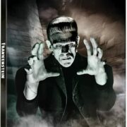 Frankenstein (1931) 90th Anniversary Steelbook (Blu-ray + Blu-ray Ultra HD 4K)