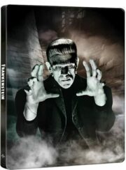 Frankenstein (1931) 90th Anniversary Steelbook (Blu-ray + Blu-ray Ultra HD 4K)