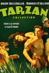 Tarzan - Johnny Weissmuller Collection 2 (2 Dvd)