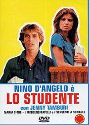 Studente, Lo