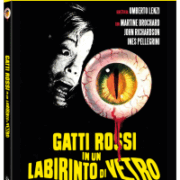 Gatti rossi in un labirinto di vetro (Blu-Ray) Special edition