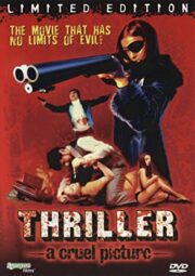 Thriller – A Cruel Picture