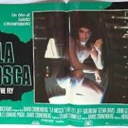 Mosca, La - The Fly (fotobusta 50x70)