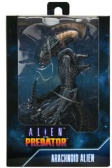 Alien vs Predator - Arachnoid Alien (20cm)