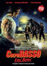 Colpo Basso (Dvd+Poster)