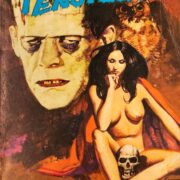 Frankenstein n. 09 - La furia del mostro
