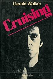 Cruising (romanzo)