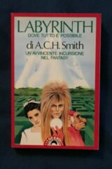 Labyrinth - Dove tutto è possibile (Romanzo)