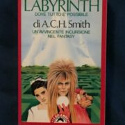 Labyrinth - Dove tutto è possibile (Romanzo)