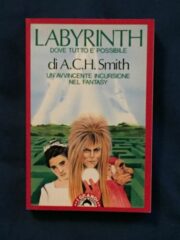 Labyrinth – Dove tutto è possibile (Romanzo)